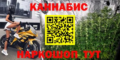 прущие крисы Будённовск