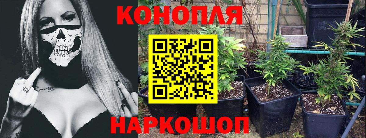 Каннабис гибрид Новочеркасск